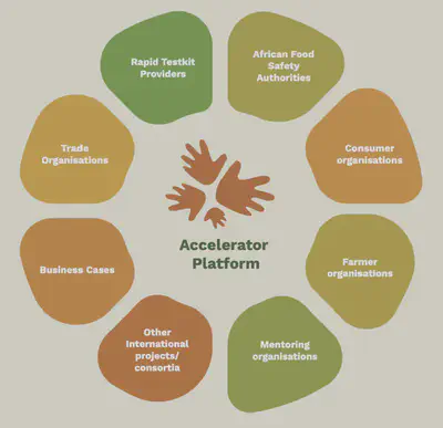 Accelerator platform